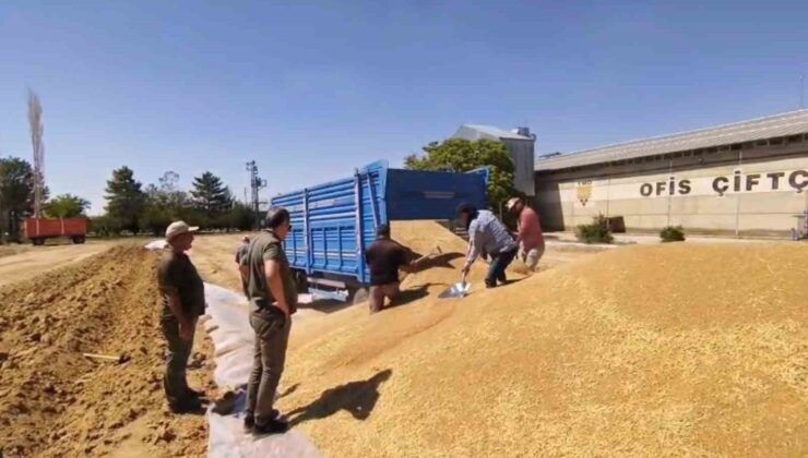 Konya’da TMO’dan yaklaşık 2 milyon ton hububat alımı