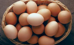 Yumurta fiyatları düştü ancak üreticiler kara kara düşünmeye başladı