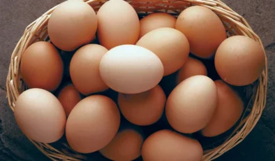 Yumurta fiyatları düştü ancak üreticiler kara kara düşünmeye başladı