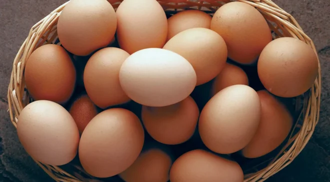 Yumurta fiyatları düştü ancak üreticiler kara kara düşünmeye başladı