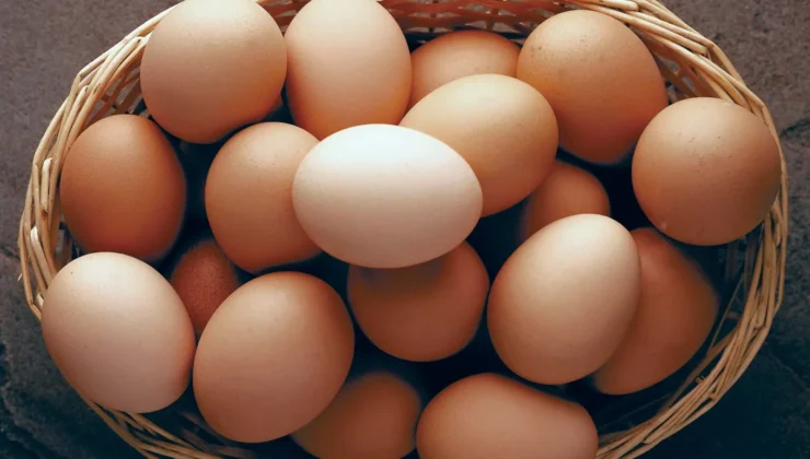 Yumurta fiyatları düştü ancak üreticiler kara kara düşünmeye başladı