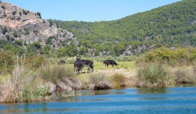 Dalyan Kanalı ve Köyceğiz Gölü için kapsamlı eylem planı hazırlanıyor