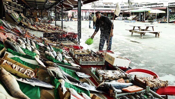 İstanbul’da ağustos ayında 156 ton palamut satıldı