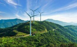 Rüzgar Enerjisi Yatırımları Avrupa’da yılın ilk yarısında büyümeyi sürdürdü