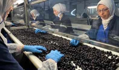 Marmarabirlik’te yeni sezon için rekolte süreci başladı