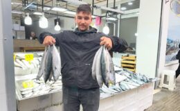 Balık tezgahlarında fiyatlar dibi gördü: Palamut 50 TL!