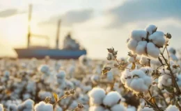 Tekstil sektöründe pamuk sıkıntısı fiyatlar düştü ama kıyafetlere zam yolda