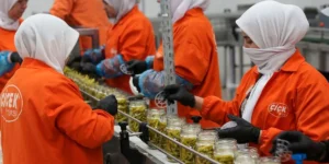 Türk turşusu 121 ülkenin sofrasında
