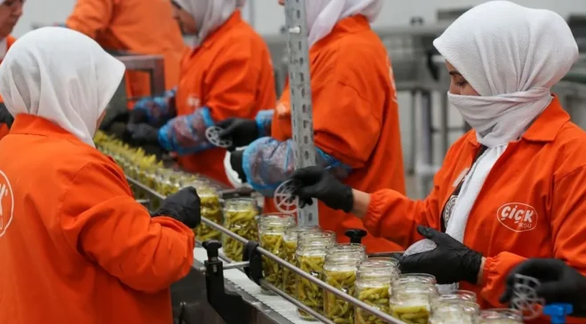 Türk turşusu 121 ülkenin sofrasında
