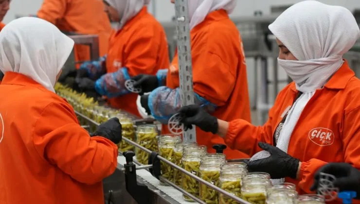 Türk turşusu 121 ülkenin sofrasında