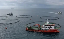 Türkiye’nin Çin’e su ürünleri ihracatı yaklaşık 3 katına çıktı