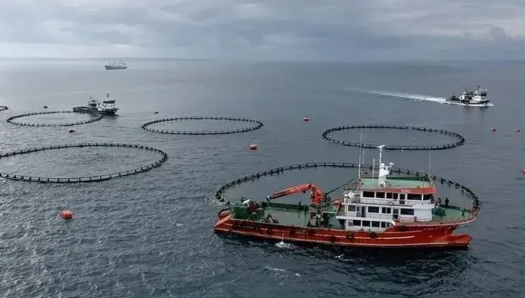 Türkiye’nin Çin’e su ürünleri ihracatı yaklaşık 3 katına çıktı