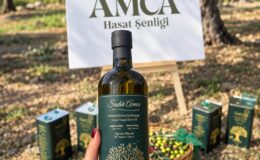 Sadık Amca Zeytinyağları’nda Erken Hasat Dönemi Başladı