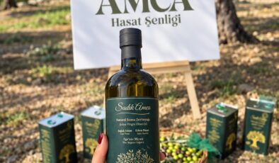 Sadık Amca Zeytinyağları’nda Erken Hasat Dönemi Başladı