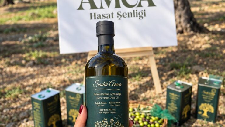 Sadık Amca Zeytinyağları’nda Erken Hasat Dönemi Başladı