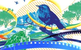 COP31 İklim Kısa Film Yarışması’nın jürisi açıklandı