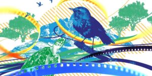 COP31 İklim Kısa Film Yarışması’nın jürisi açıklandı