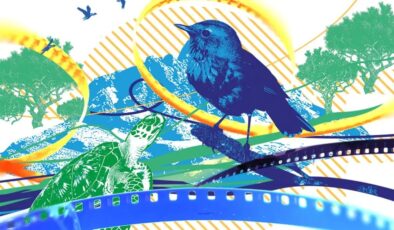 COP31 İklim Kısa Film Yarışması’nın jürisi açıklandı