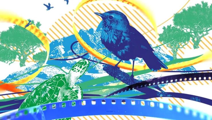 COP31 İklim Kısa Film Yarışması’nın jürisi açıklandı