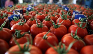 Muğla ihracatta vites yükseltti: 145 milyon dolara ulaştı