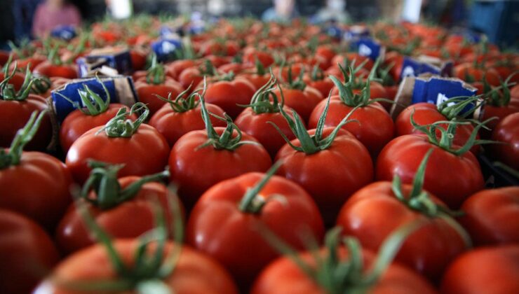 Muğla ihracatta vites yükseltti: 145 milyon dolara ulaştı