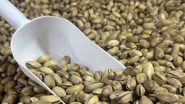 Fıstık ihracatında yılın son çeyreği için beklenti yükseldi