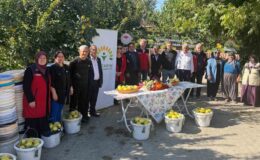 Kahramanmaraş’ta ayva üreticilerine hasat desteği