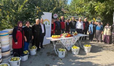 Kahramanmaraş’ta ayva üreticilerine hasat desteği