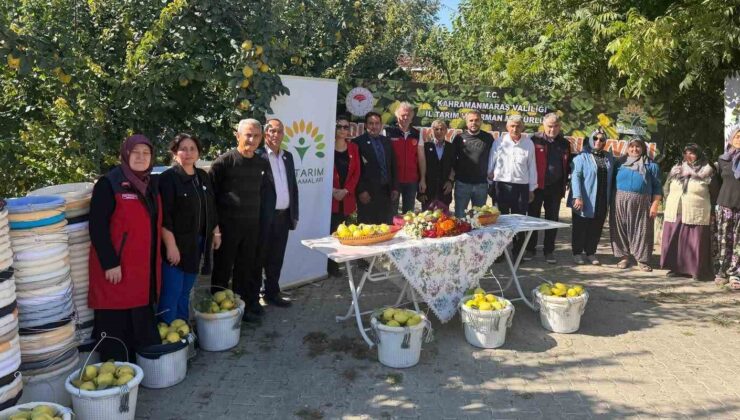 Kahramanmaraş’ta ayva üreticilerine hasat desteği