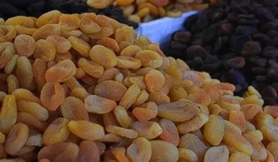 GAİB bölgesinden kuru meyvede 183,9 milyon dolarlık ihracat