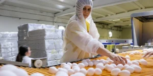 Türkiye’nin yumurta ihracatı 9 ayda 418 milyon doları aştı