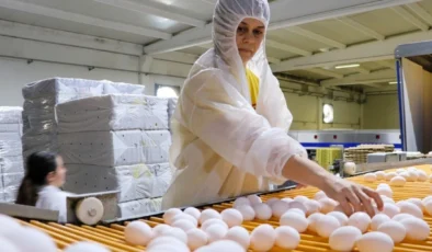Türkiye’nin yumurta ihracatı 9 ayda 418 milyon doları aştı