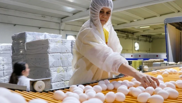 Türkiye’nin yumurta ihracatı 9 ayda 418 milyon doları aştı