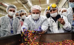 Oyuncaklı şeker ihracatçısı Lolliboni Gıda hakkında iflas kararı verildi