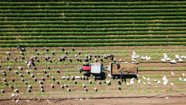 2027 bütçesinde tarıma 1,3 trilyon lira ayrıldı