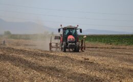 IPARD III’ten 95 projeye 1,2 milyar liralık hibe