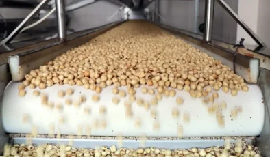 Fındık ihracatında gelir 1,9 milyar doları aştı