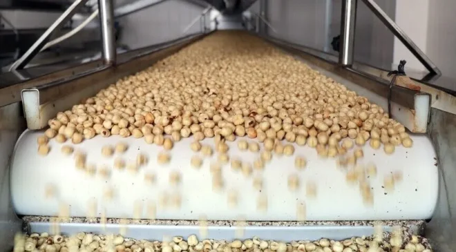 Fındık ihracatında gelir 1,9 milyar doları aştı