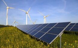 Yenilenebilir enerjide rekor: Elektrik üretiminin yarısından fazlası temiz kaynaklardan sağlandı