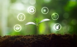 Türkiye, 2040 enerji hedeflerini yeniden belirliyor